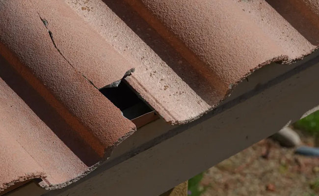 tile-roofing